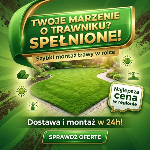 Grafiki na Social Media